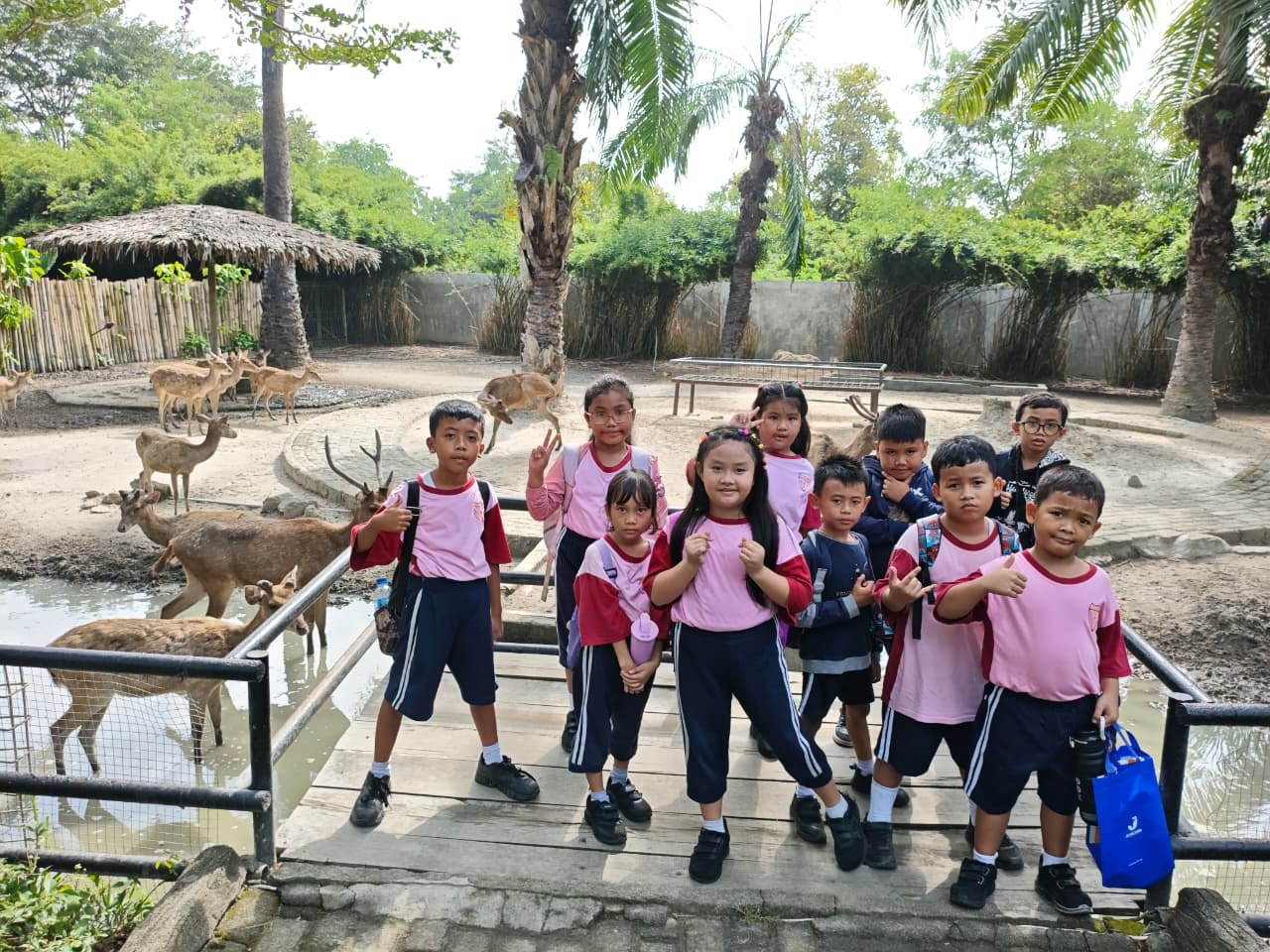 Dokumentasi Kunjungan Kebun Binatang 3
